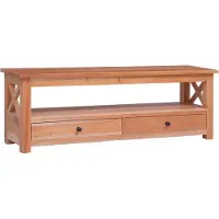 vidaXL TV-Schrank 120 x 30 x 40 cm Massivholz Mahagoni