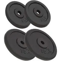 vidaXL Hantelscheiben 4 Stk. 2x10 kg+2x5 kg Gusseisen