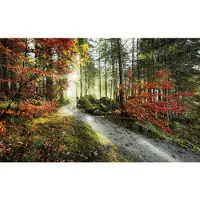 Overig Vliestapete "Digitaldruck Vlies - Feuerzungen - Größe 450 x 280 cm" bedruckt glatt Wohnzimmer, Schlafzimmer