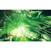 Overig Vliestapete "Digitaldruck Vlies - Dschungeldach - Größe 450 x 280 cm" bedruckt glatt Wohnzimmer, Schlafzimmer
