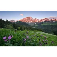 Overig Vliestapete "Digitaldruck Vlies - Picturesque Switzerland - Größe 450 x 280 cm" bedruckt glatt Wohnzimmer, Schlafzimmer