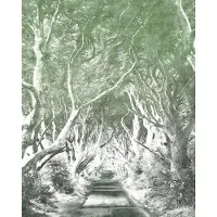 Komar Vliestapete "Digitaldruck Vlies - Alley Graphite - Größe 200 x 250 cm" bedruckt glatt Wohnzimmer, Schlafzimmer