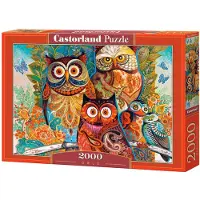 Castorland Owls 2000 pcs, 2000 Stück(e), Kunst, 9 Jahr(e)