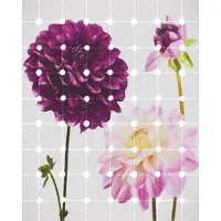 Komar Vliestapete "Digitaldruck Vlies - Flowers & Dots - Größe 200 x 250 cm" bedruckt glatt Wohnzimmer, Schlafzimmer