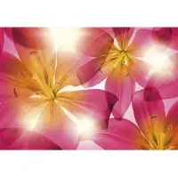 Komar Fototapete "Summer Sun - Größe 368 x 254 cm" bedruckt glatt Wohnzimmer, Schlafzimmer