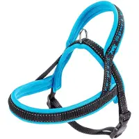 Blokker Hundegeschirr Sport 39 x 58 cm Nylon blau/schwarz mt XS