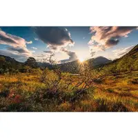 Overig Vliestapete "Digitaldruck Vlies - Norwegische Herbstwelten - Größe 450 x 280 cm" bedruckt glatt Wohnzimmer, Schlafzimmer