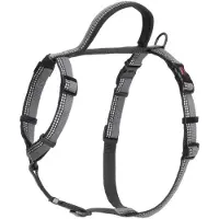 Halti Walking Hundegeschirr | Größe M, Schwarz