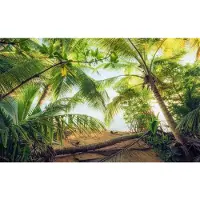 Overig Vliestapete "Digitaldruck Vlies - Piratenversteck - Größe 450 x 280 cm" bedruckt glatt Wohnzimmer, Schlafzimmer