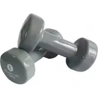 SVELTUS Kurzhantel Epoxidharz 2 X 3 Kg Grau