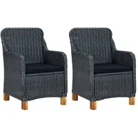 vidaXL Gartenstühle mit Kissen 2 Stk. Poly Rattan Dunkelgrau