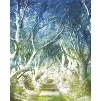 Komar Vliestapete "Digitaldruck Vlies - Alley - Größe 200 x 250 cm" bedruckt glatt Wohnzimmer, Schlafzimmer