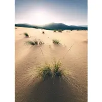 Overig Vliestapete "Digitaldruck Vlies - Vivid Dunes - Größe 200 x 280 cm" bedruckt glatt Wohnzimmer, Schlafzimmer