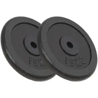 vidaXL Hantelscheiben 2 Stk. 2x15 kg Gusseisen