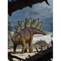 Komar Vlies Fototapete Stegosaurus 184 x 248 cm GLO769551119