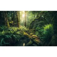 Overig Vliestapete "Digitaldruck Vlies - Elves Cathedral - Größe 450 x 280 cm" bedruckt glatt Wohnzimmer, Schlafzimmer