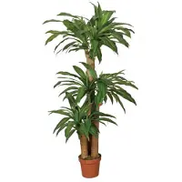 Intergard Kunstpflanzen Dracena 145cm