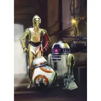 Komar Fototapete "STAR WARS Three Droids - Größe 184 x 254 cm" bedruckt glatt Kinderzimmer