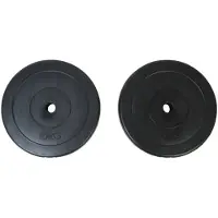 vidaXL Gewichte 2 Hantelscheiben 10kg