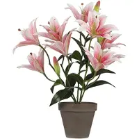 Mica Decorations Mica Kunstpflanze Tigerlilie rosa, 47 x 45 cm GLO660754703