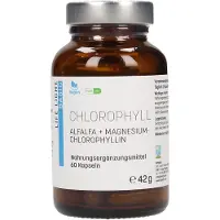 APOZEN VERTRIEBS GmbH Life Light Basic Chlorophyll Kapseln, 60 St. Kapseln