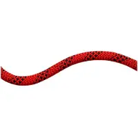 Mammut 10.5 Performance Static Seil