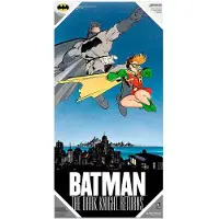 DC Comics - Plakat szklany Batman i Robin DC Comics - Akcesorium Premium