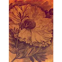 Overig Vliestapete "Digitaldruck Vlies - Harvest - Größe 200 x 280 cm" bedruckt glatt Wohnzimmer, Schlafzimmer