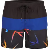 O'Neill Frame Block Badeshorts