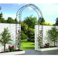 Garden Pleasure Rosenbogen Mira