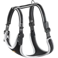 Ferplast Ergocomfort P, Hund, Westengeschirr, XL, Grau, Einfarbig, 92 cm