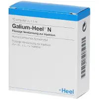 Heel Galium N Ampullen 10 St