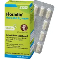 Salus Floradix Eisen plus B12 vegan Kapseln 40 St