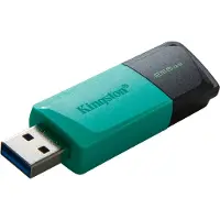 Kingston Usb 3.2 256gb Usb-stick