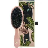 Fan Palm Hair Brush Medium Blush