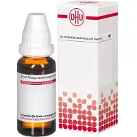 DHU Populus Tremuloides Urtinktur 20 ml Flüssigkeit zum Einnehmen