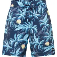 Hurley Cannonball Volley 17´´ Badeshorts Blau S Herren Blau S