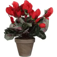 Mica Decorations Mica Kunstpflanze Zyklamen rot im Topf 11,5 x 30 x 30 cm GLO660754744