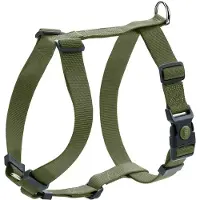 Hunter Set: Halsband London + Führleine London, olivgrün - Vario Plus Größe L + Leine 200 cm / 15 mm
