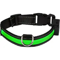 Eyenimal LED-Leuchthalsband - grün - Größe L: 50 - 65 cm Halsumfang, 25 mm breit