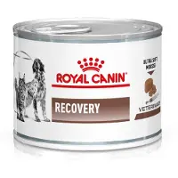 Royal Canin Recovery - 12 x 195 g
