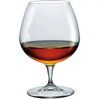 Bormioli Rocco | Set mit 6 Cognacgläsern Premium durchsichtig Glas x16 cm | NADUVI