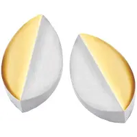 Danish design - Titanohrstecker Odense Two-Tone IJ120E2