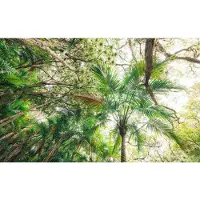 Overig Vliestapete "Digitaldruck Vlies - Touch the Jungle - Größe 450 x 280 cm" bedruckt glatt Wohnzimmer, Schlafzimmer