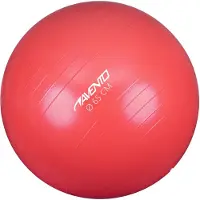 Avento Gymnastics Fitball