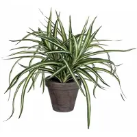 Mica Decorations Mica Kunstpflanze Dracaena im Topf weiß/grün 34 x 40 cm GLO660754766