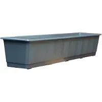 Geli Standard