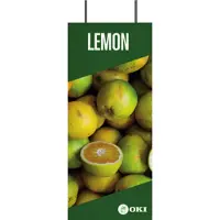 OKI FASTDISP A3 ceiling METAL 30x120CM