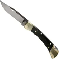 Buck Klappmesser Folding Hunter Finger Grooved