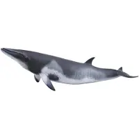 Collecta figur Zwergwal grau 20 x 6 cm